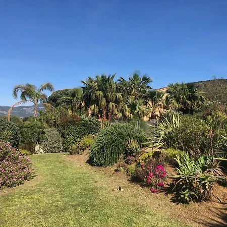 Vellutini Calvi (Corsica)