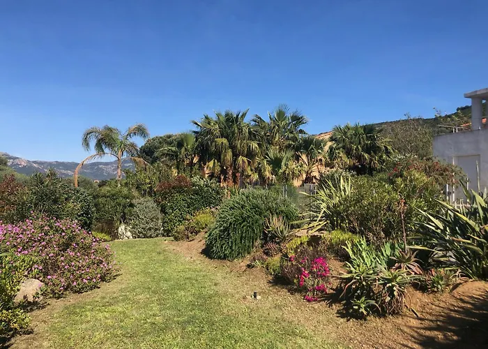 Vellutini Calvi (Corsica)