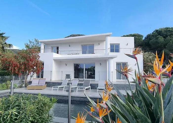 Vellutini Calvi (Corsica)